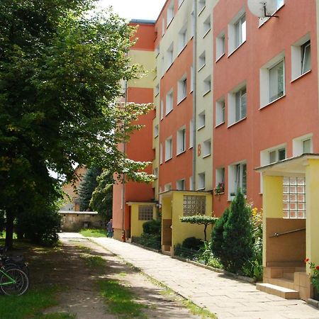 Mieszkanie Jelitkowo Gdaňsk Exteriér fotografie